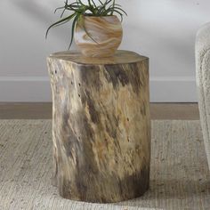 a potted plant sitting on top of a tree stump in a living room next to a chair