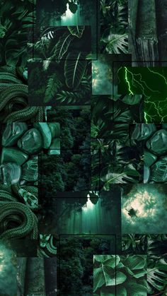 a collage of green images with trees and lightning in the background, including leaves