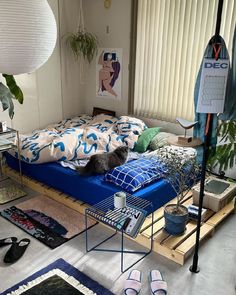 a cat laying on top of a blue bed in a bedroom next to a window