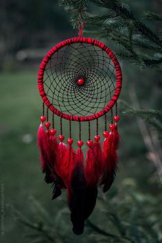 a red and black dream catcher hanging from a tree