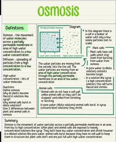 an article about osmosis on a piece of paper with green writing and diagrams