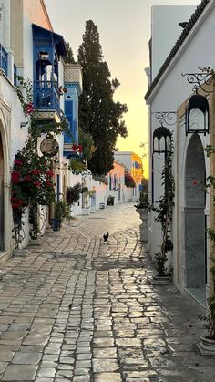 an empty cobblestone street with blue and white buildings