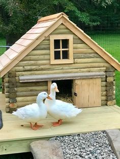 two white ducks standing in front of a small log cabin on top of a wooden table