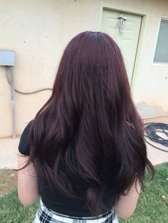 Berry Black Hair, Dark Color Hair Ideas Brunettes, Black Burgundy Hair Color, Dark Plum Brown Hair Color, Subtle Purple Hair Highlights, Red Brown Hair Color Asian, Tinted Dark Hair, Black Cherry Hair Color Short, Dark Brown Plum Hair