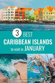 the ocean and buildings with text overlay that says best caribbean islands to visit in january