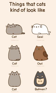 the different kinds of cats are shown in this cartoon