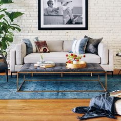 a living room with a couch, coffee table and potted plant on the floor