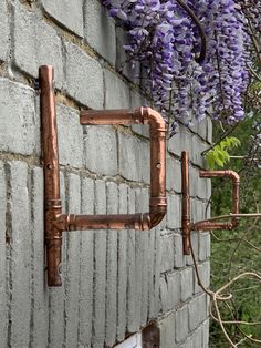 purple flowers growing on the side of a brick wall next to a water faucet