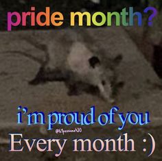 an animal that is laying down with the caption pride month? i'm proud of you every month