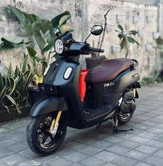 a scooter parked on the side of a road next to a wall and potted plants