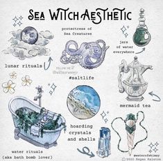 an image of various sea related items in blue and white