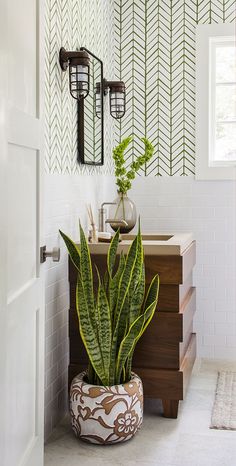 a bathroom with a plant in the middle of it and a mirror on the wall