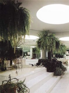 a large room with plants in it