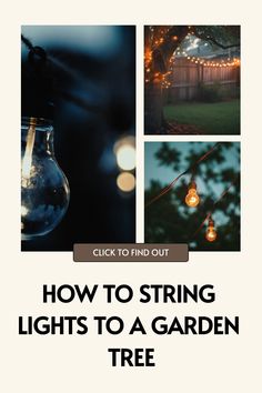 light bulbs hanging from a tree with the words how to string lights to a garden tree