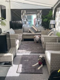 a dog laying on top of a rug in a living room next to a couch