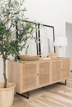 a plant sitting on top of a wooden sideboard next to a potted tree