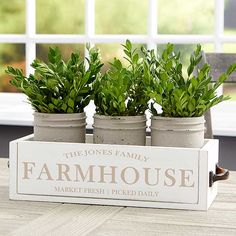 three potted plants are sitting in a farmhouse sign