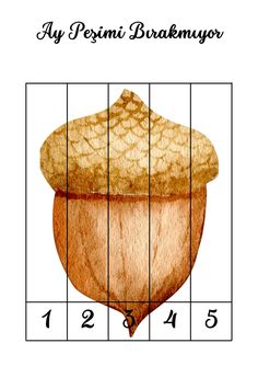 an image of a drawing of a nut on a grid with the words, as pesmi braemyor