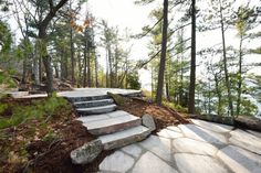 stone steps lead up to the top of a steep hill in the woods by the water