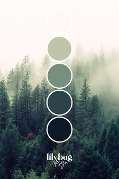 Misty Forest Colour Palette

by Lilybug Graphic Design at www.lilybugdesign.co.nz. Free prints, SVG's, colour palettes and activities! Graphic Design Services as well. Check out our Etsy store!Misty Forest Colour Palette Forest Paint Color Palette, Forest Pallete, Forest Green Colour Palette, Forest Colour Palette, Forest Green Palette, Forest Branding, Forest Graphic Design, Forest Green Color Palette, Forest Color Palette