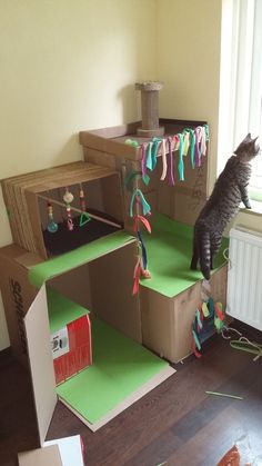 a cat standing on top of some cardboard boxes