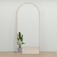 an arch mirror with a potted plant in it on a wooden table next to a white wall