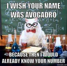 a white cat wearing glasses sitting in front of a blackboard with writing on it