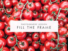 a pile of red tomatoes with the words photography lesson fill the frame