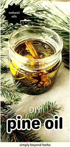 Create your own DIY Pine Oil with our Natural Oils guide. This homemade oil, infused with pine needles, is ideal for enhancing skin and hair health, especially during cold seasons. A great project for those who love making their own beauty products and exploring natural remedies. Find more herbs for health, natural remedies, and natural health tips at simplybeyondherbs.com. Pine Needle Oil, Holistic Cleaning, Skin Care Oil, Pine Oil, Homemade Beauty Recipes, Herbal Salves, Winter Wellness, Natural Girl, Natural Beauty Recipes