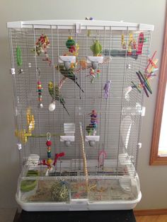 a bird cage filled with lots of colorful birds