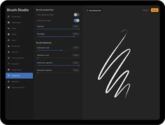 the brush studio app is displayed on an ipad, and it's settings are highlighted