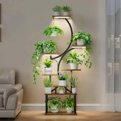 a living room filled with lots of potted plants