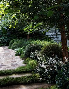 a stone path in the middle of a garden with trees and bushes on either side