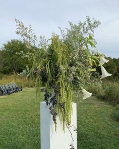 a tall white vase filled with flowers on top of a lush green field