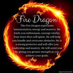 a fire dragon with the caption that reads,