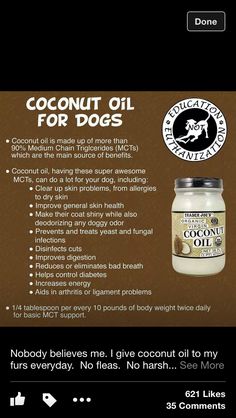 a bottle of coconut oil for dogs on the app store's iphone phone screen