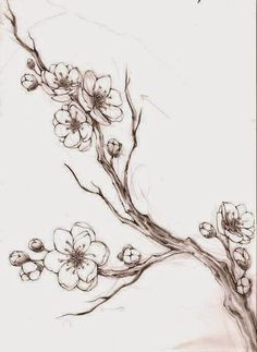 a drawing of a branch with flowers on it