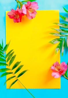 pink flowers and green leaves on a blue background with a yellow paper in the middle