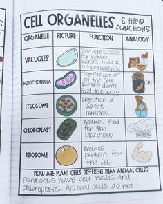 an open book with pictures of cell organelles and their functions in the body