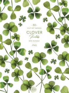 clover leaves are arranged in the shape of a circle on a white background with text that reads