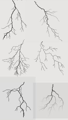 four different types of branches with no leaves