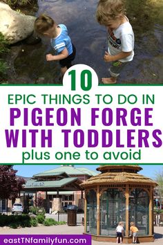 the top ten things to do in pigeon force with toddlers plus one to avoid