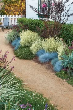 a garden with blue and white flowers in the front yard, along side a house