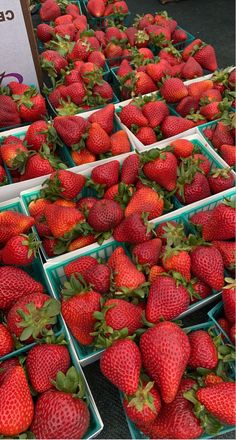 several baskets filled with lots of ripe strawberries