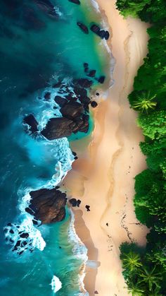 an aerial view of the beach and ocean with green trees in the foreground, from above