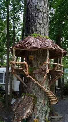 a tree house built into the side of a tree