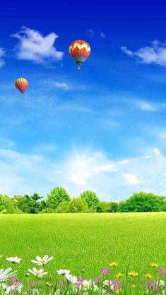 two hot air balloons flying in the sky over a green field with flowers and daisies