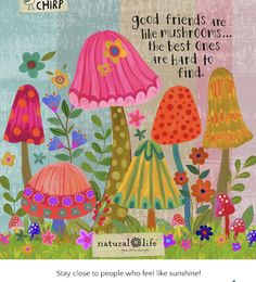 an image of mushrooms and flowers with a quote on the bottom that says good friends are like mushrooms