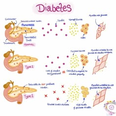 the diagram shows how diabets are used to treat and use them for babies