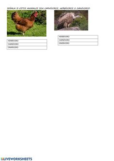 an animal and its surroundings are shown in this worksheet with pictures on it